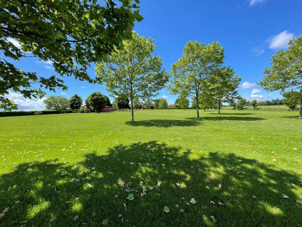 Immobiliari nel monferrato - Piedmont Houses